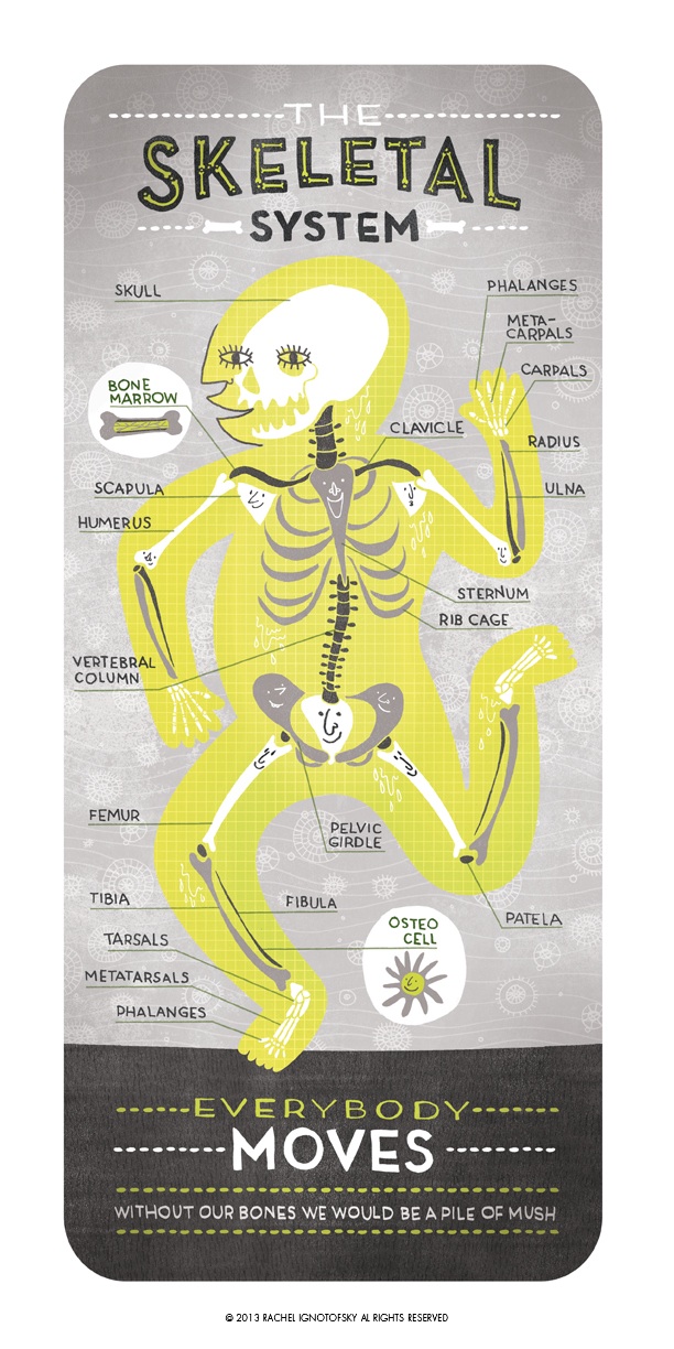 Women in Art by Rachel Ignotofsky Women in Art by Rachel Ignotofsky