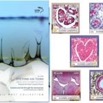 Commemorative set of stamps “Art through the Microscope”, Hellenic Post Collection_Prof. Maria Lambropoulou