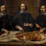 5th Edition Vesalius Continuum – 32nd AEIMS Conference